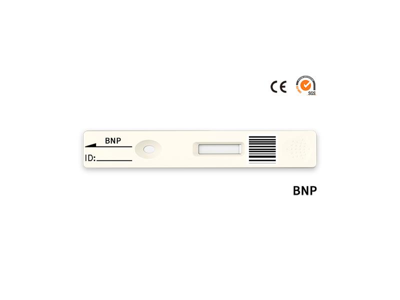 Biotime BNP Rapid Quantitative Test
