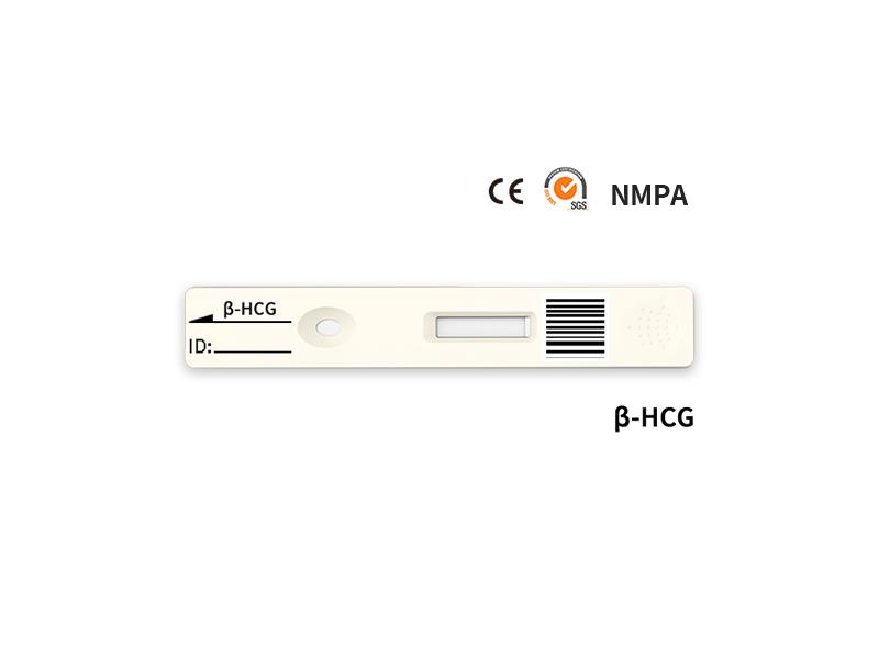 Biotime β-HCG Rapid Quantitative Test