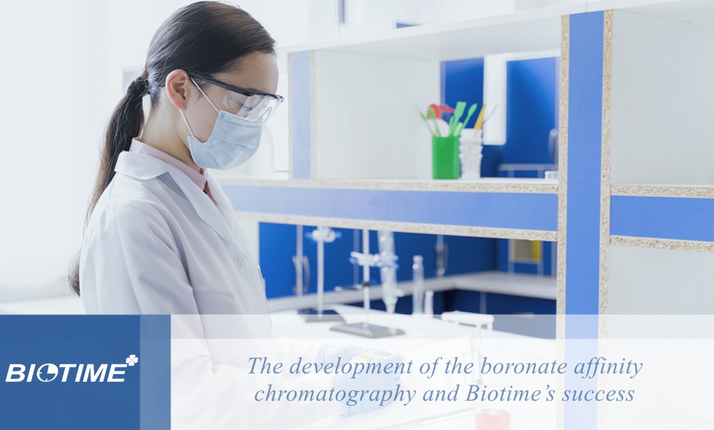 le développement de la chromatographie d’affinité boronate et le succès de biotime